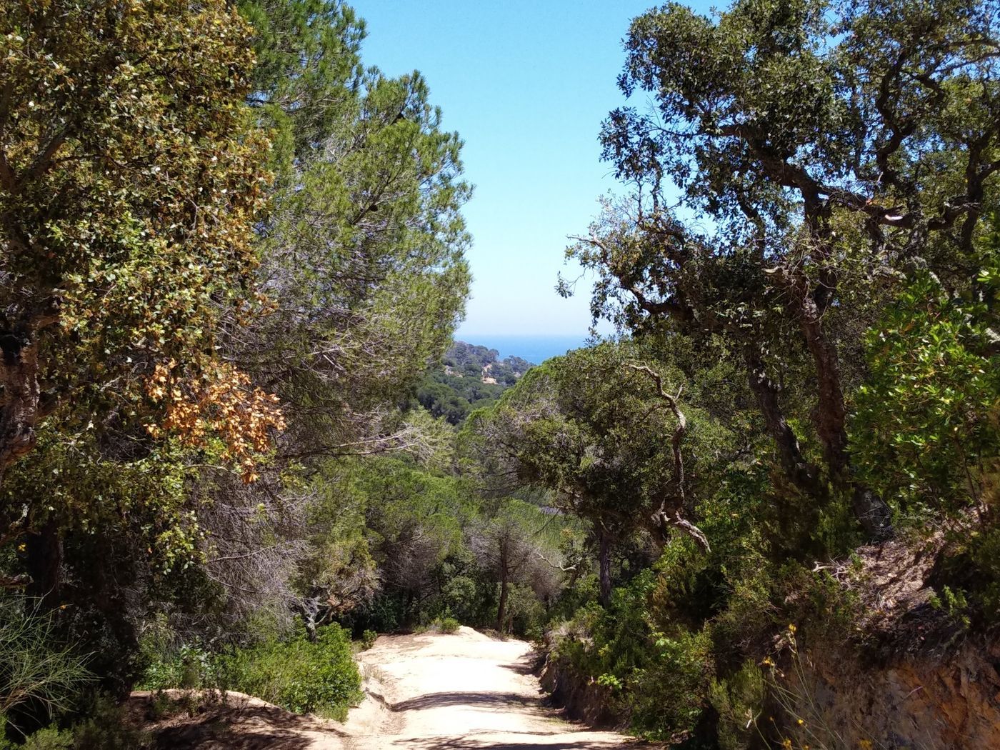 Photo of a dirt path snaking through the hills