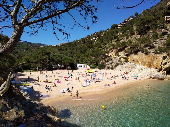 Photo of Cala Pola beach in a sunny day. Green water, yellow sand, blue skies and plenty of people chilling.